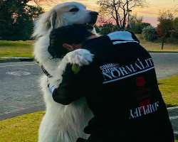 The star is an animal lover and stated they are the most loyal friends.